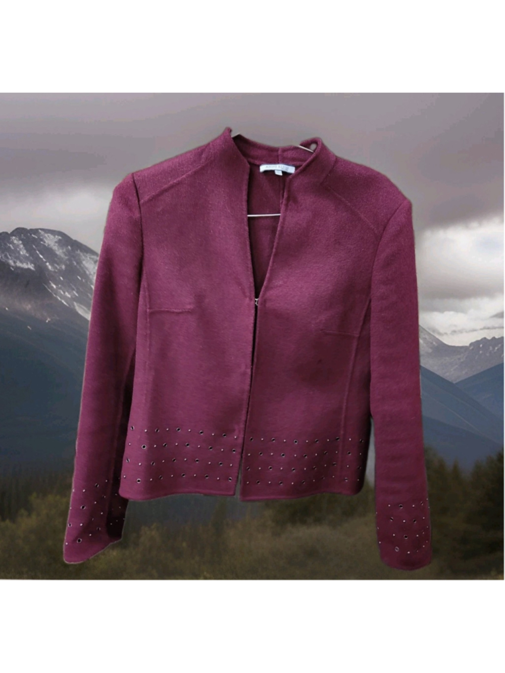 Anne Klein Womens Blazer Wool/Rabbit Hair Blend Small Studded Hem & Sleeve Cuffs